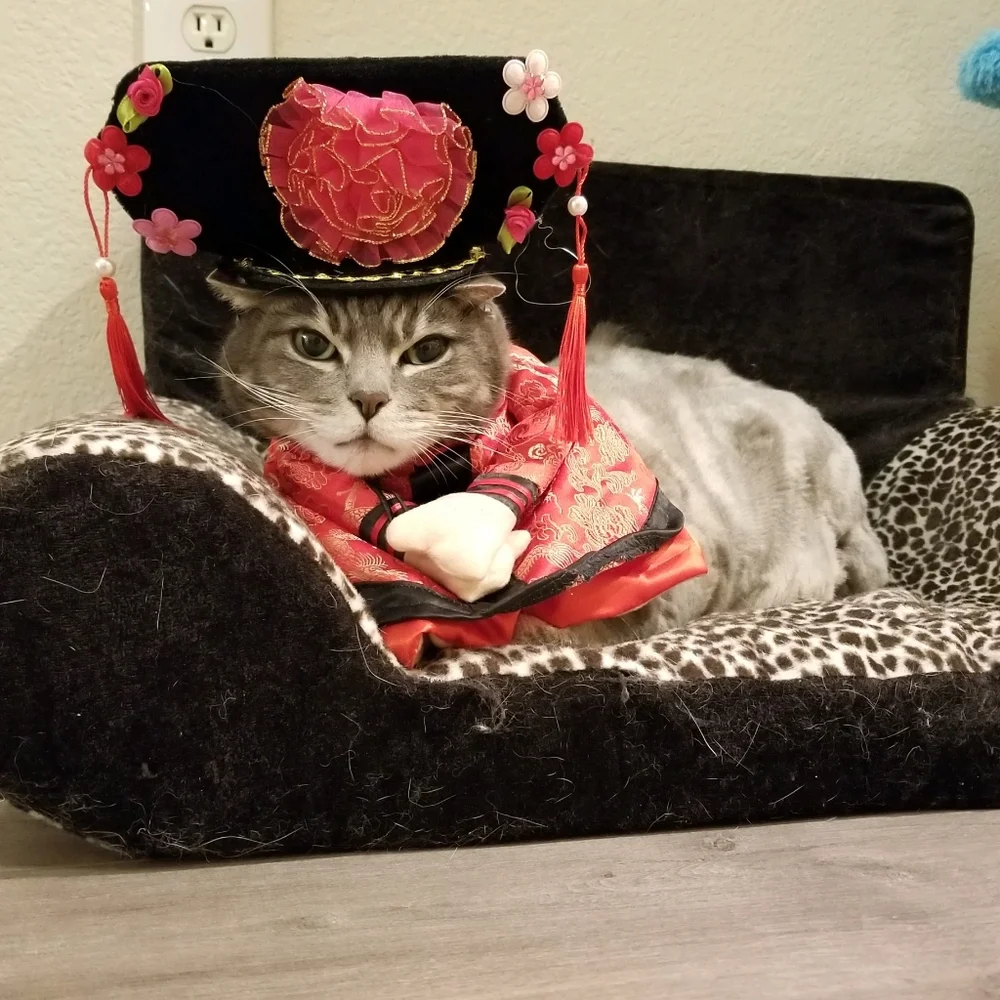 Small size cat/ small dog custom eye glasses and Qing dynasty Chinese outfit